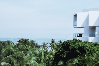 Lush green palm trees in the foreground frame a modern, minimalist building with large glass balconies on the right. In the background, a bright blue ocean extends to the horizon with several small boats dotting the water under a clear sky.
