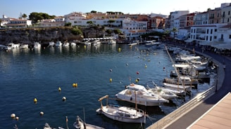Cozy fishing village harbor with colorful boats and waterfront restaurants.