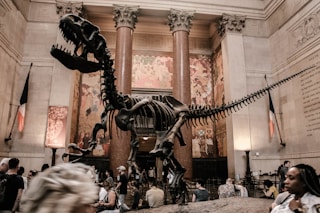 selective photography of t-rex statue