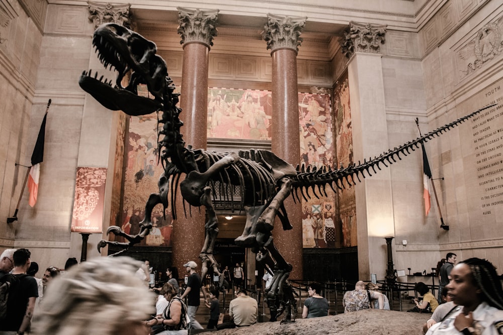 Fotografía selectiva de la estatua del T-Rex
