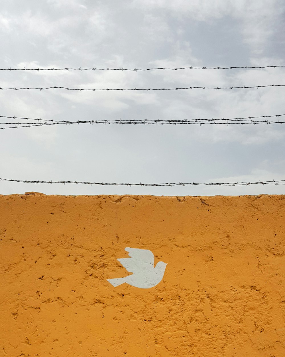 orange and white bird graphic wall during daytime