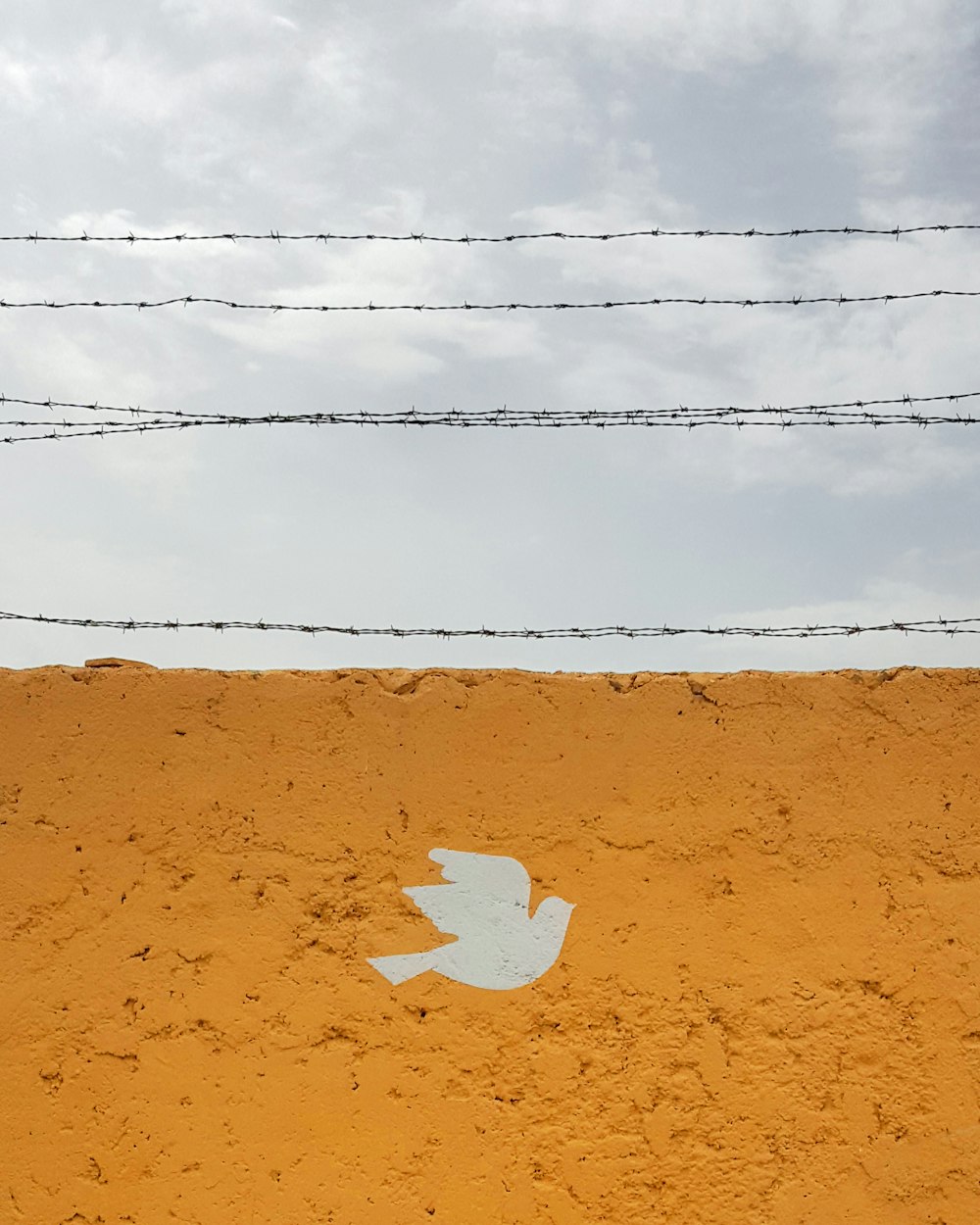 parete grafica arancione e bianca dell'uccello durante il giorno