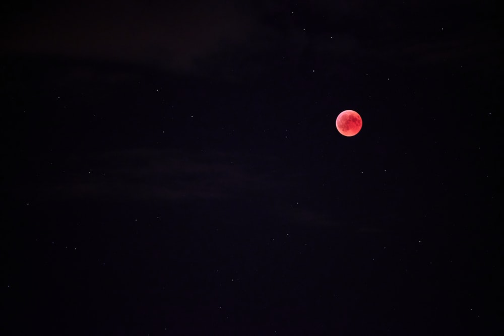 red full moon at nighttime