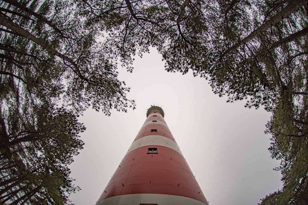 travelers stories about Forest in Ameland, Netherlands