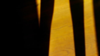 Lighting test showing deep espresso shadows contrasted with soft near-black highlights.