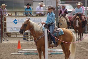 A horseback rider wearing a blue plaid shirt and cowboy hat is participating in an equestrian event. The rider is on a light brown horse with a white mane, standing next to a striped barrier. Several other riders on their horses are in the background, along with a couple of spectators in cowboy hats.
