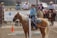 A horseback rider wearing a blue plaid shirt and cowboy hat is participating in an equestrian event. The rider is on a light brown horse with a white mane, standing next to a striped barrier. Several other riders on their horses are in the background, along with a couple of spectators in cowboy hats.