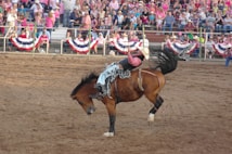 A rodeo scene featuring a person riding a bucking horse in an arena filled with spectators. The rider is wearing Western-style clothing, including a cowboy hat, and is holding onto the horse with one hand while raising the other for balance. The audience is visible in the background, seated on bleachers adorned with red, white, and blue banners.