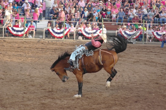 A rodeo scene featuring a person riding a bucking horse in an arena filled with spectators. The rider is wearing Western-style clothing, including a cowboy hat, and is holding onto the horse with one hand while raising the other for balance. The audience is visible in the background, seated on bleachers adorned with red, white, and blue banners.