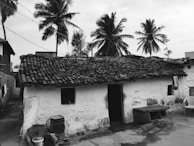 A rustic house with a clay-tiled roof situated in a rural setting, surrounded by towering palm trees. The structure appears weathered, with a sturdy white exterior and a few small windows. A large water barrel and some household items are placed outside, alongside a plastic chair, suggesting daily life activities. The dirt path leading to the house is visible, emphasizing its simplicity and charm.