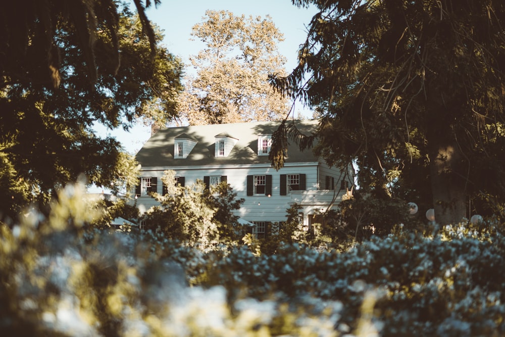 Casa blanca y gris en el bosque