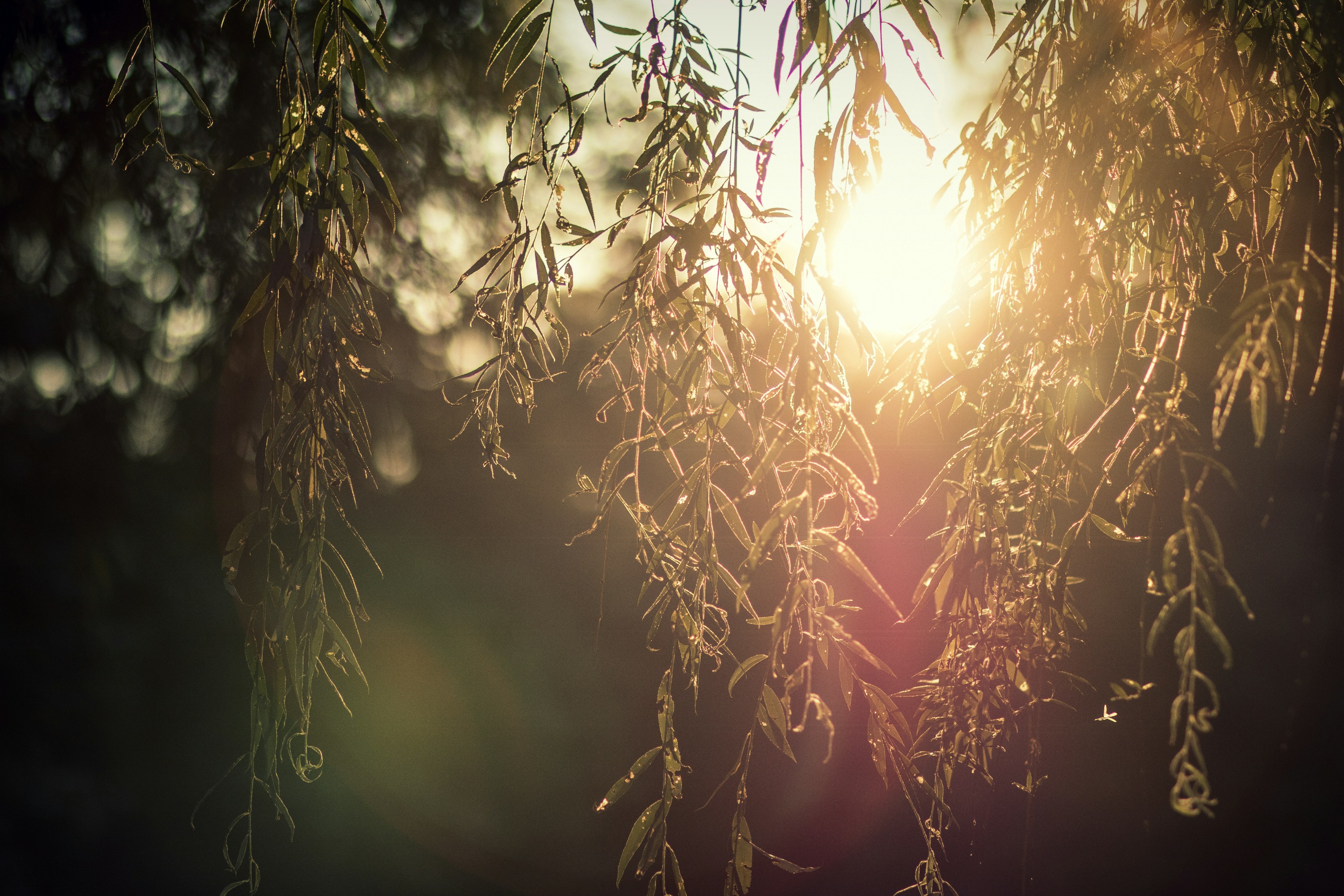 Photo by inpursuitofbeauty