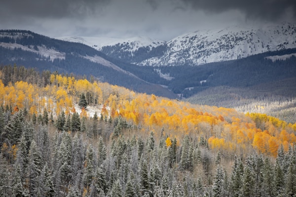 Best Times to Visit Vail: Weather, Seasons & Months