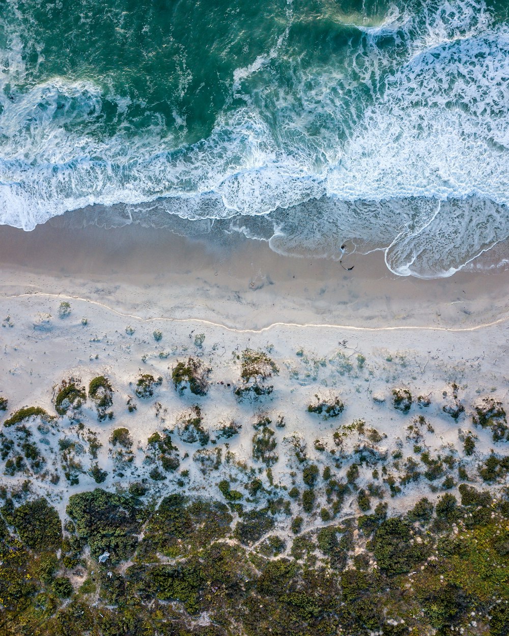 Vista aérea de la orilla del mar