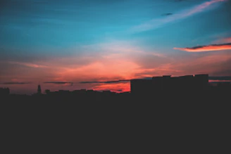 A bright blue upward-trending graph overlaid on a city skyline at sunset.