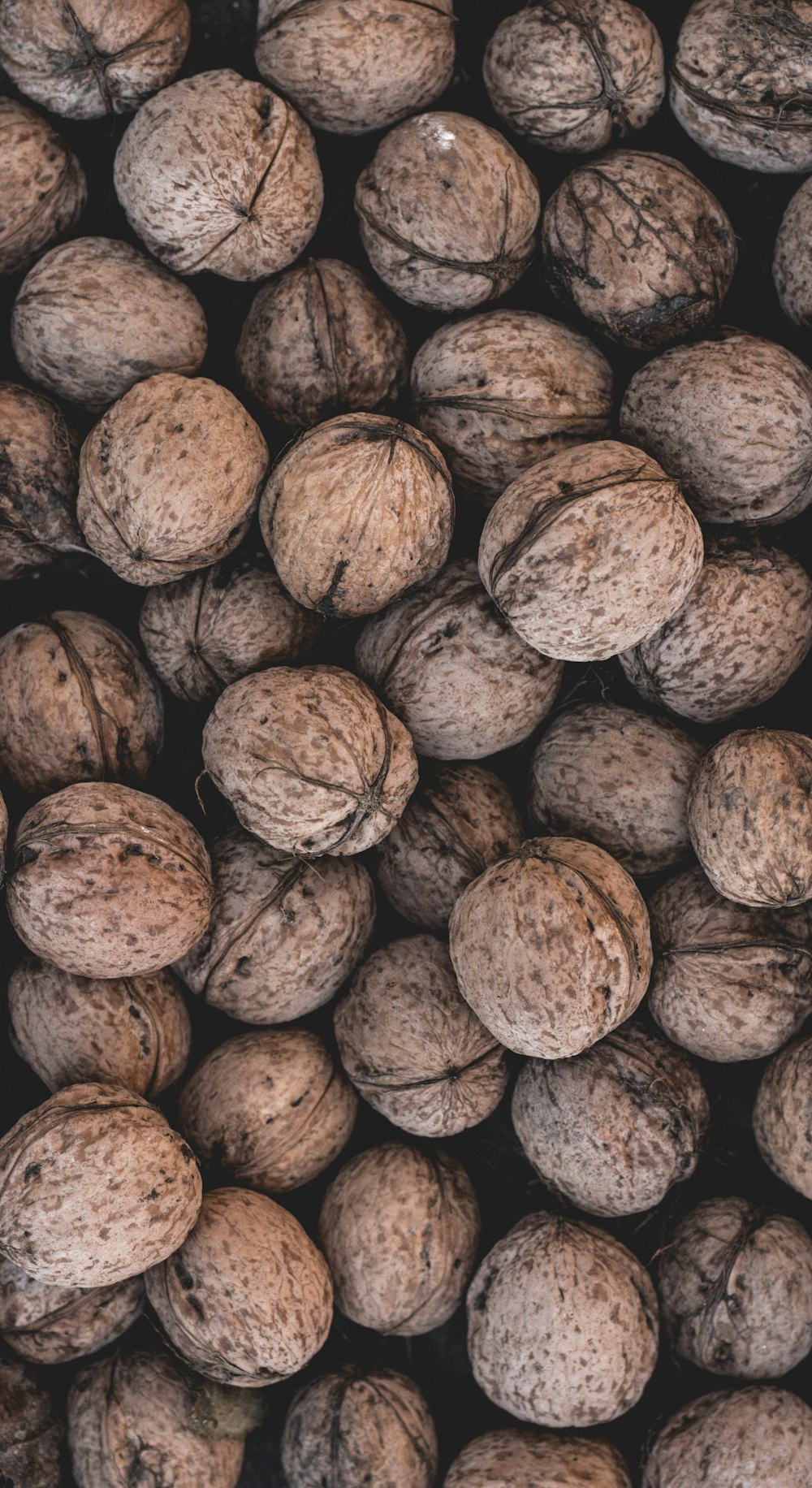pile of brown walnuts
