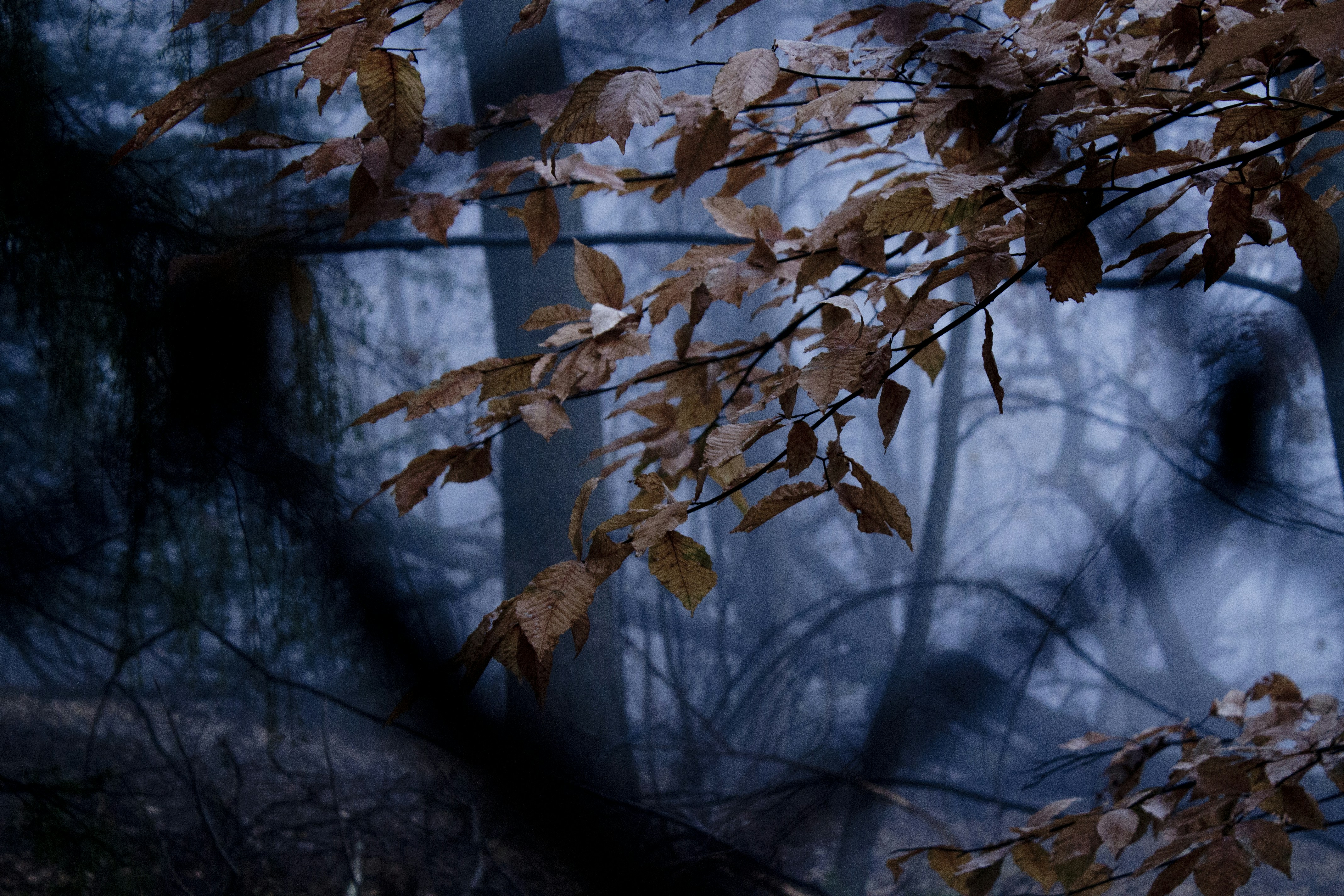 Photo by corymerchant