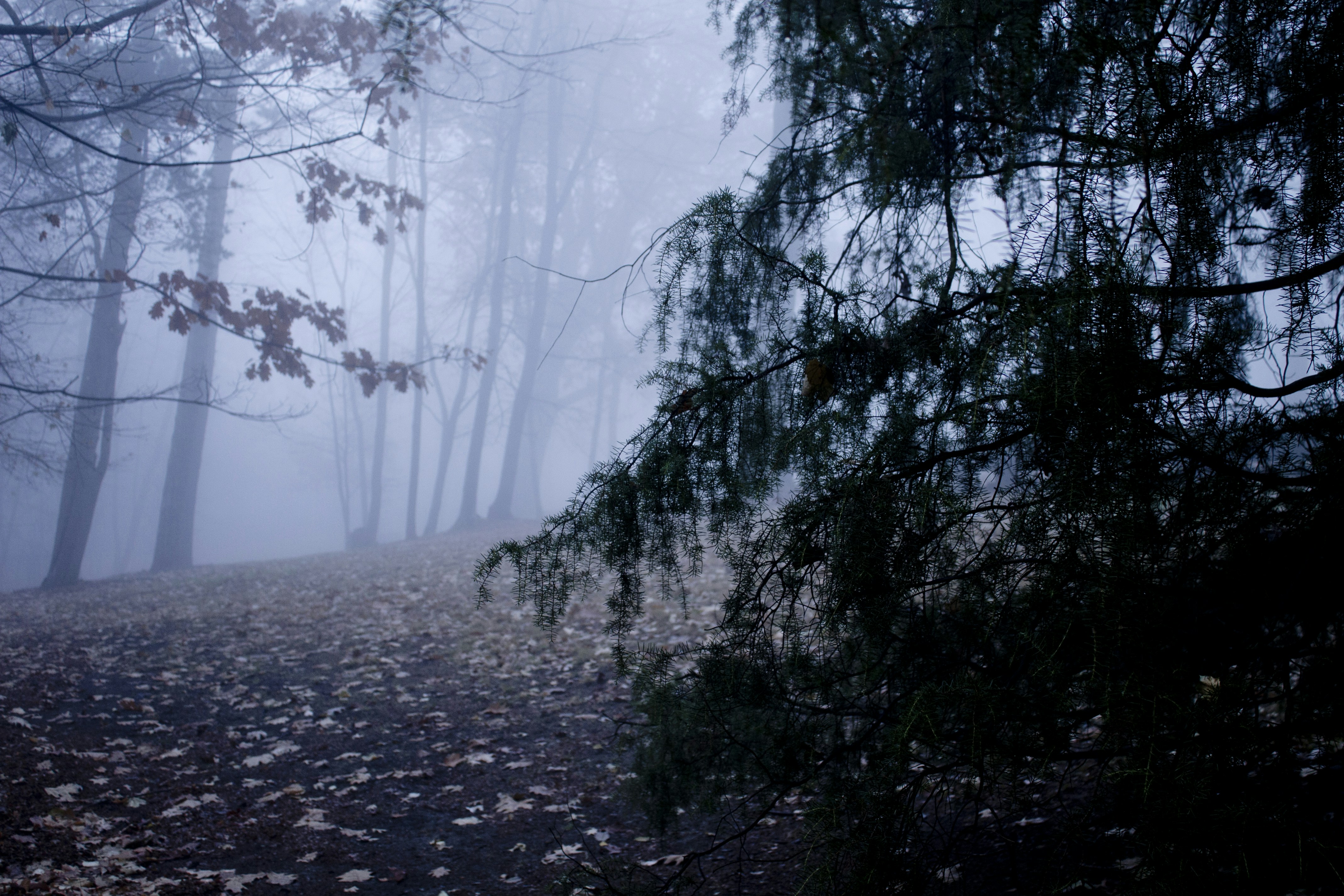 Photo by corymerchant