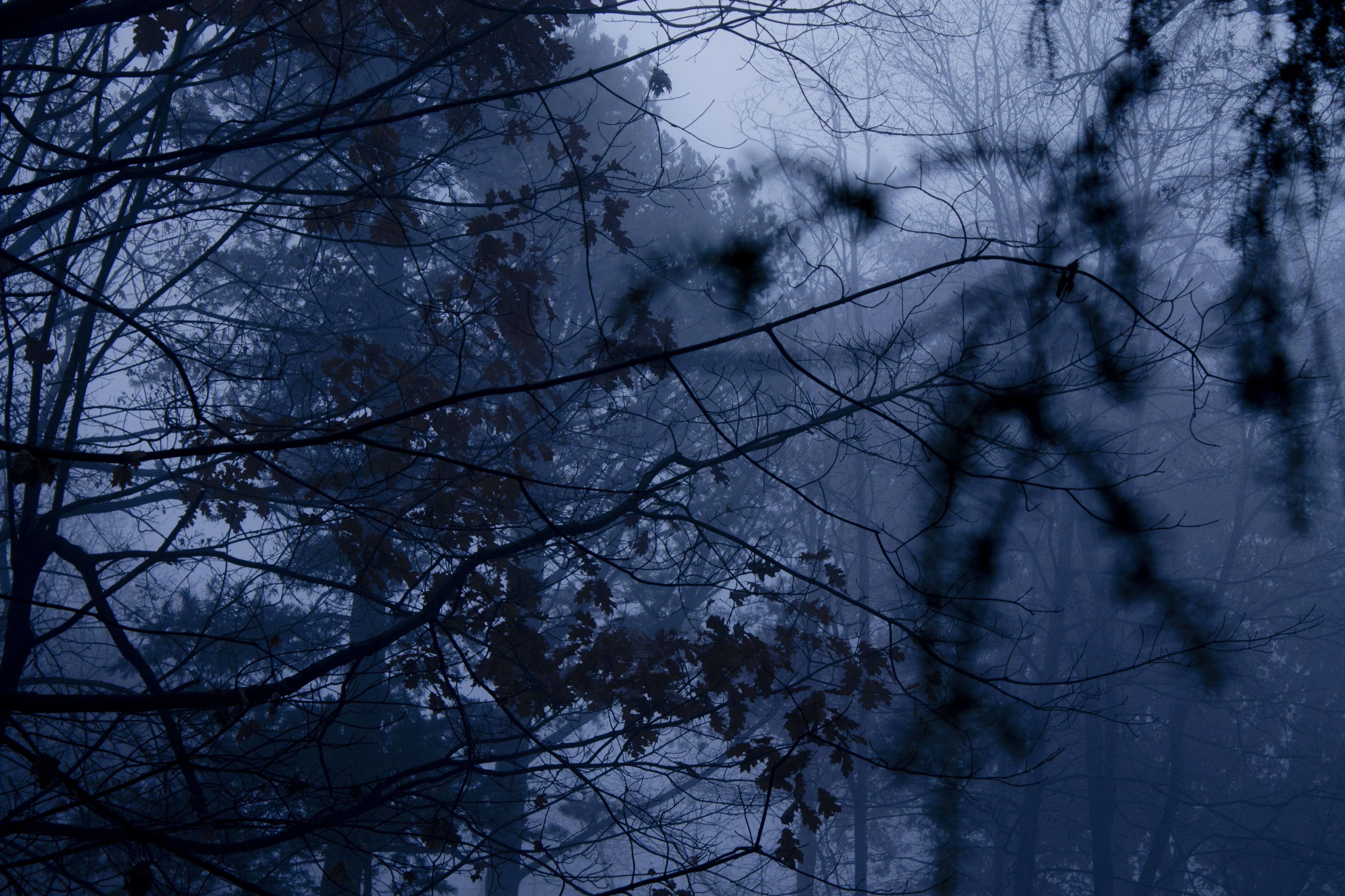 Photo by corymerchant