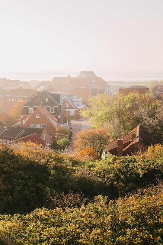 aerial photo of green near houses in Juist Germany