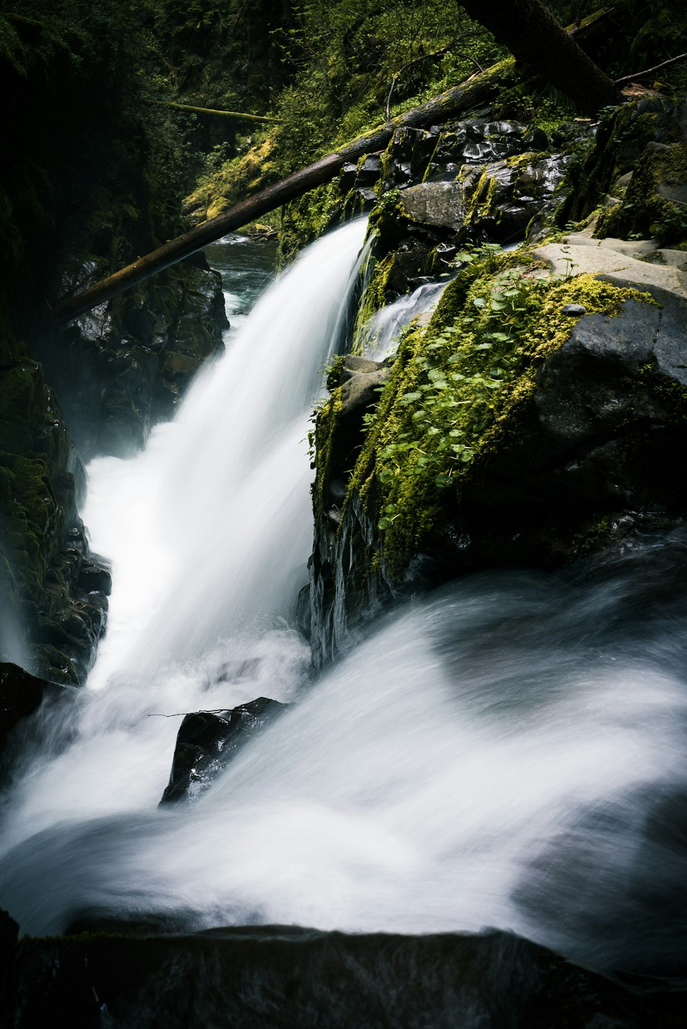 waterfall beside tocks