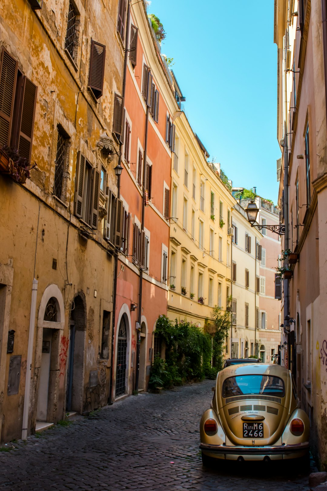 Town photo spot Trastevere Bramante kolostora