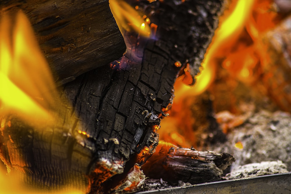 a close up of a fire in a fire pit