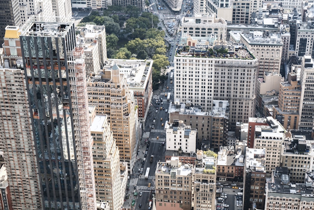 assorted commercial buildings