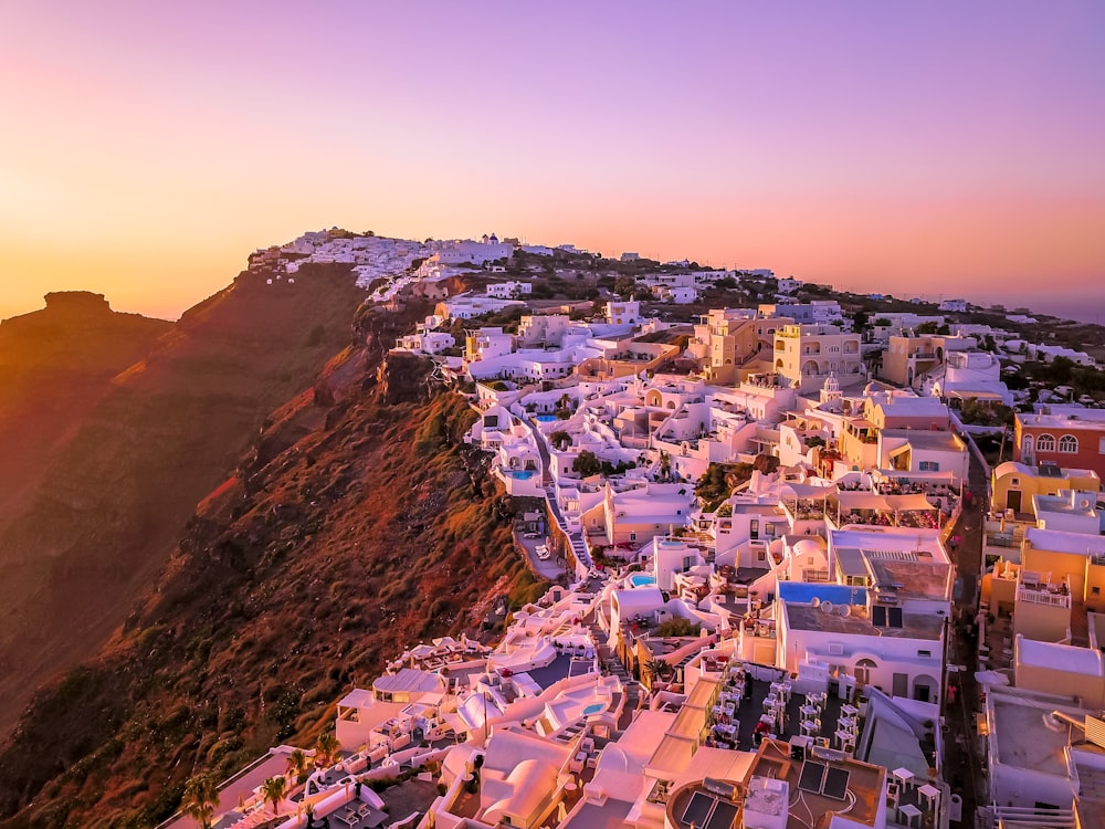 white concrete houses