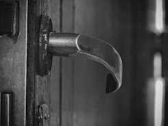 Close-up of a sturdy door handle on a stylish interior door.