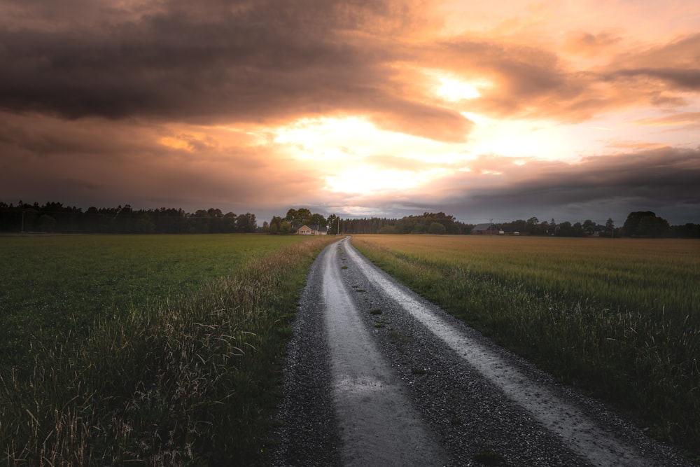 empty road between wet field