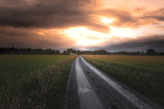 empty road between wet field in Brålanda Sweden