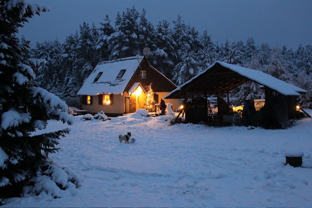 2 house in snow