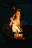 Golden flames flickering beneath a cast iron pot simmering over a campfire.