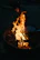 Golden flames flickering beneath a cast iron pot simmering over a campfire.