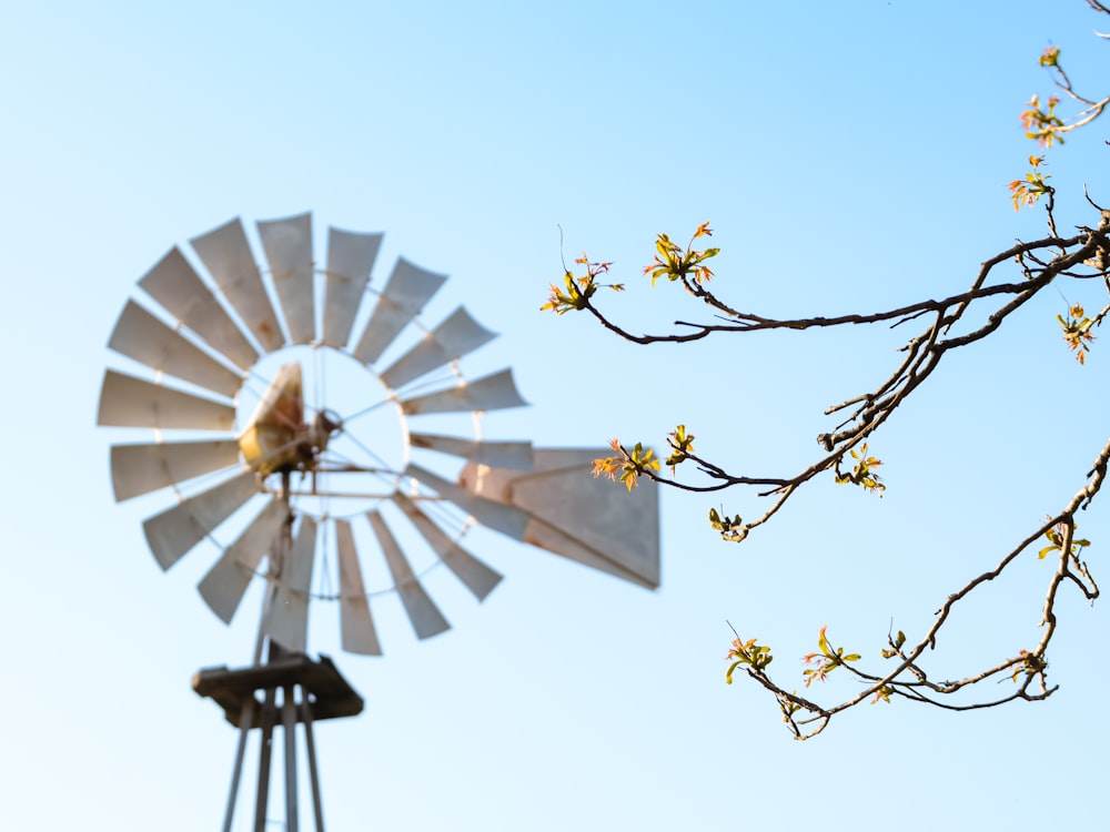 weiße Windmühle