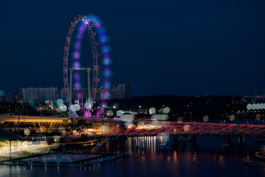 bokeh photography of ferris wheel in Singapore Flyer Singapore