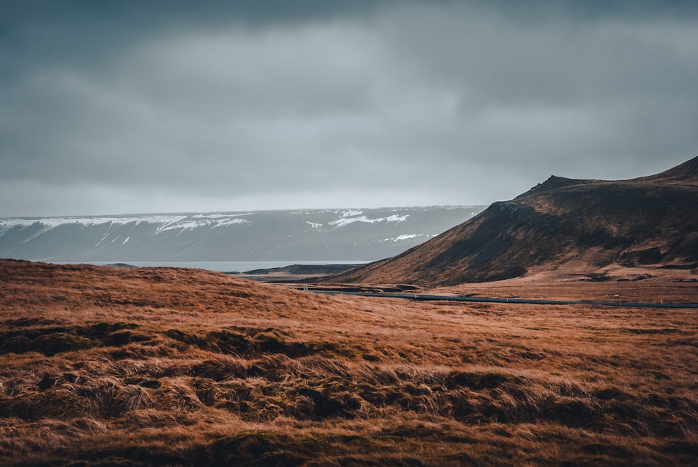 brown field under gray sky