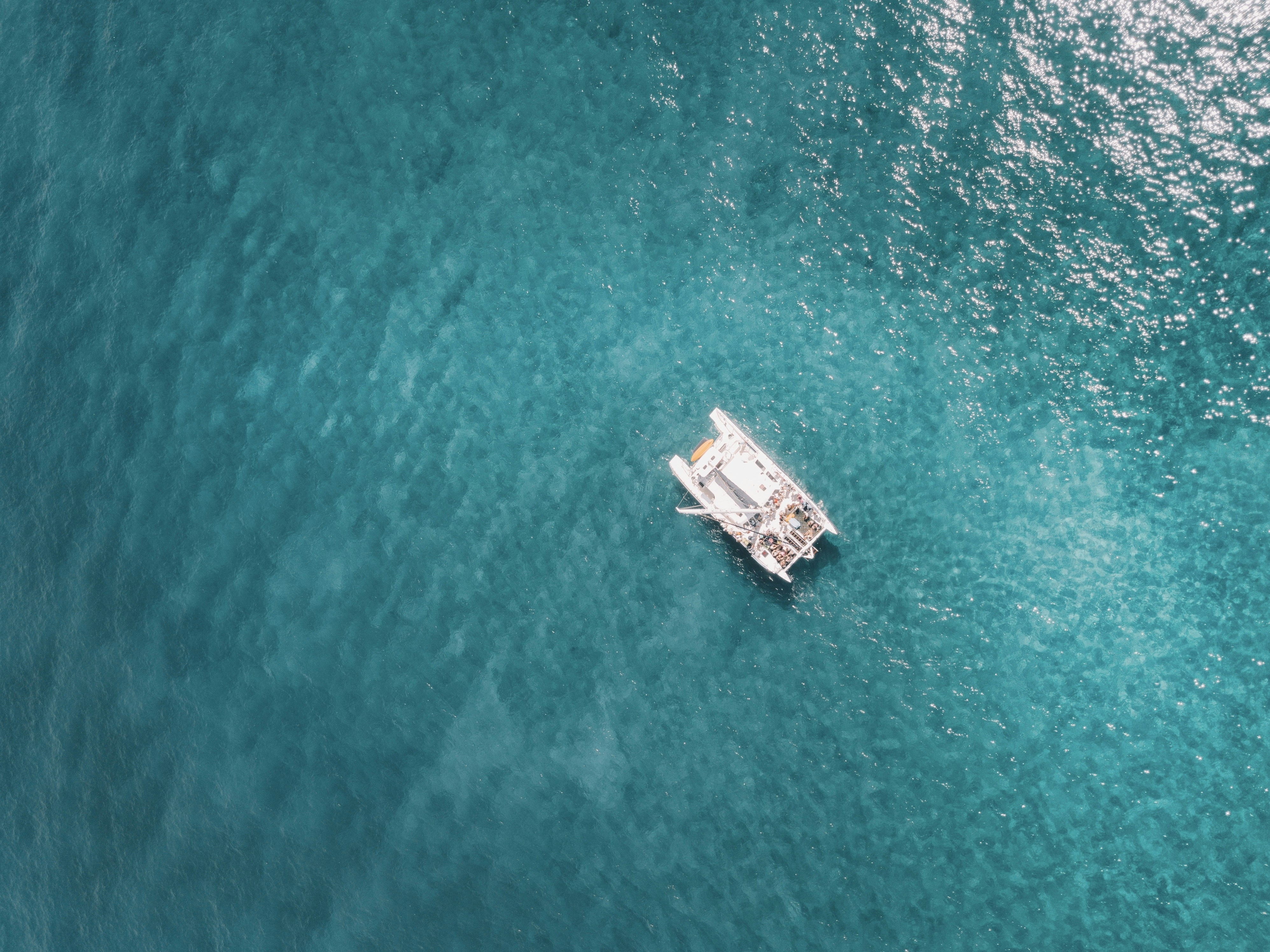 Photo by loganstrongarms