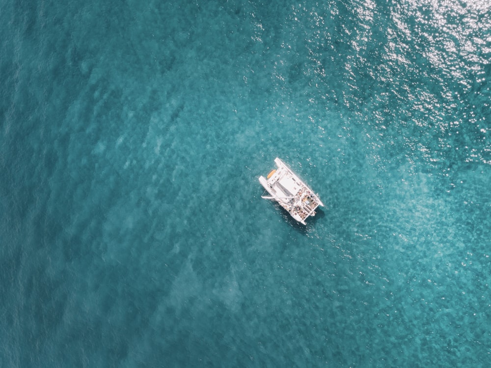 bird's photography of white boat