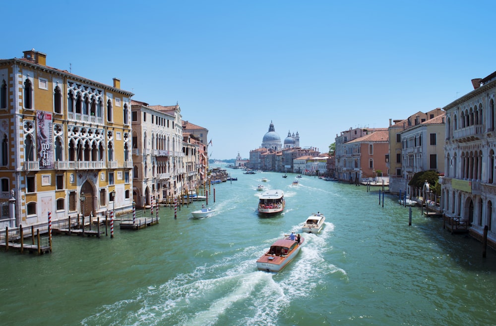 boats on the water