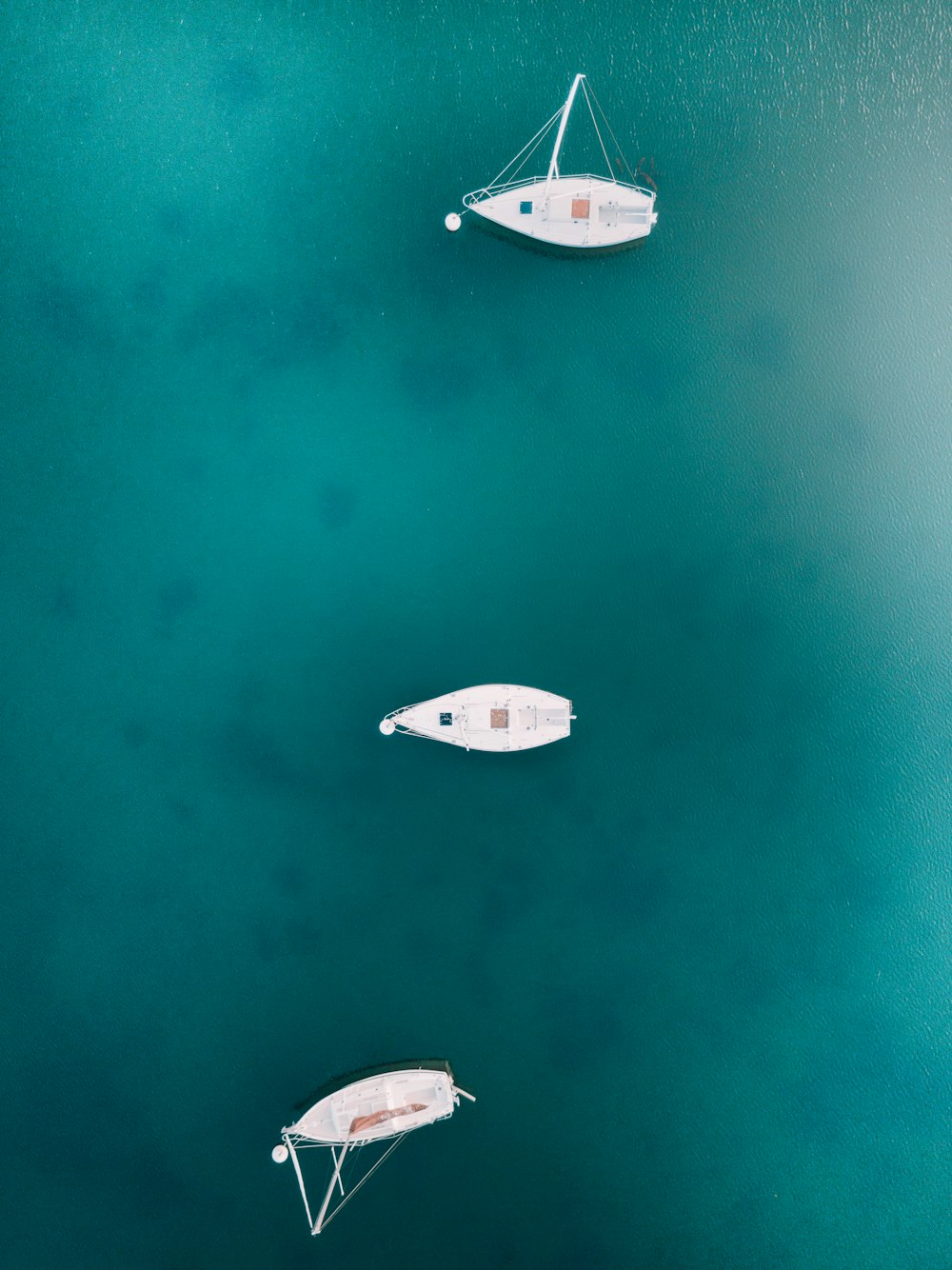 bird's photography of three white boats