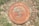A circular storm sewer cover on a patch of grass, featuring engravings of a fish and aquatic plants. It is labeled with 'City of Joplin', 'No Dumping', and 'Drains to Stream'. The cover appears weathered with a rusty brown color.