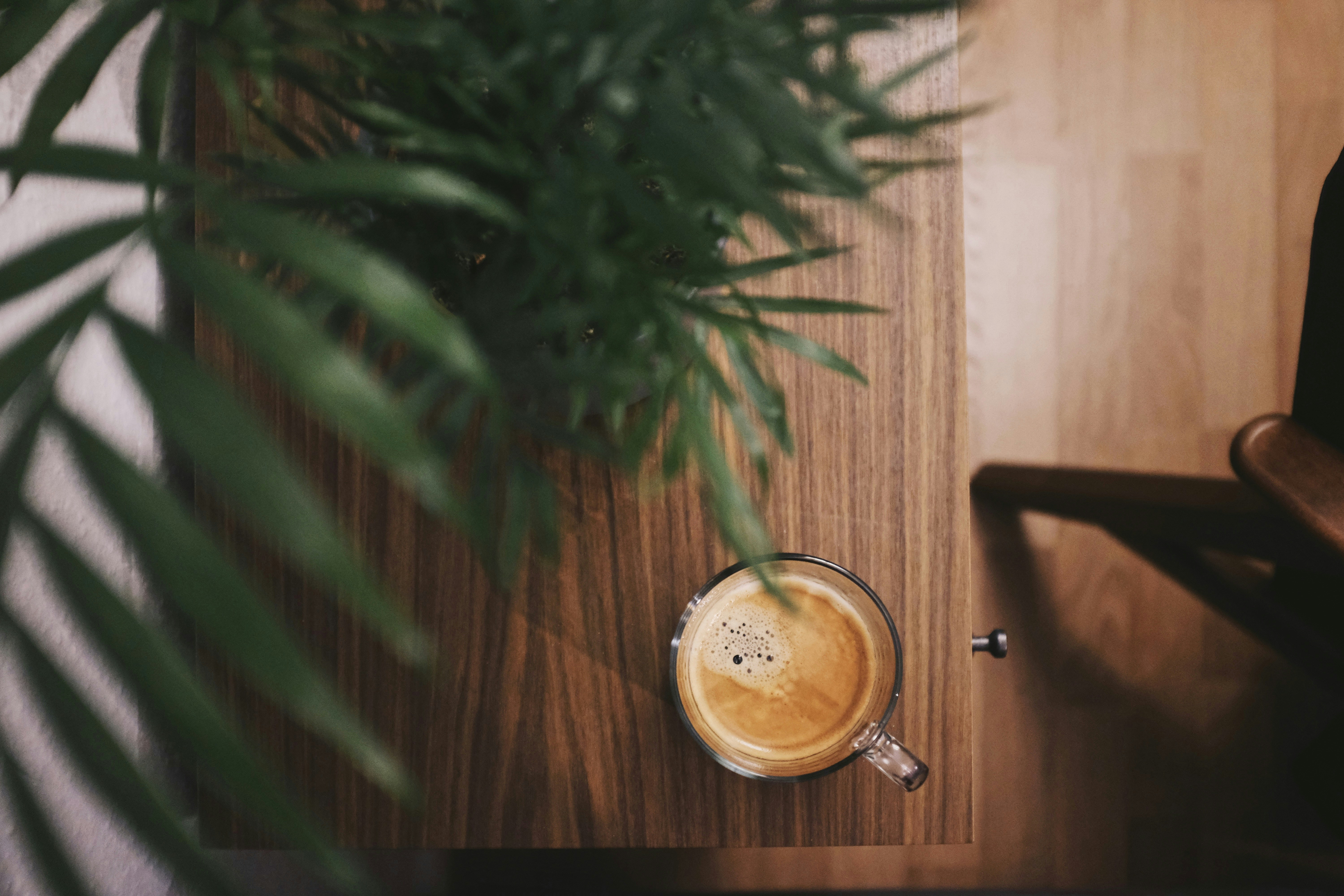 half-filled coffee in clear glass mug beside plant on brown table