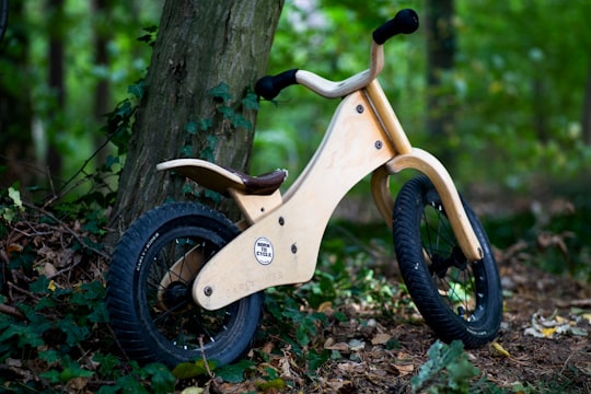 beige wooden bicycle in Erlangen Germany