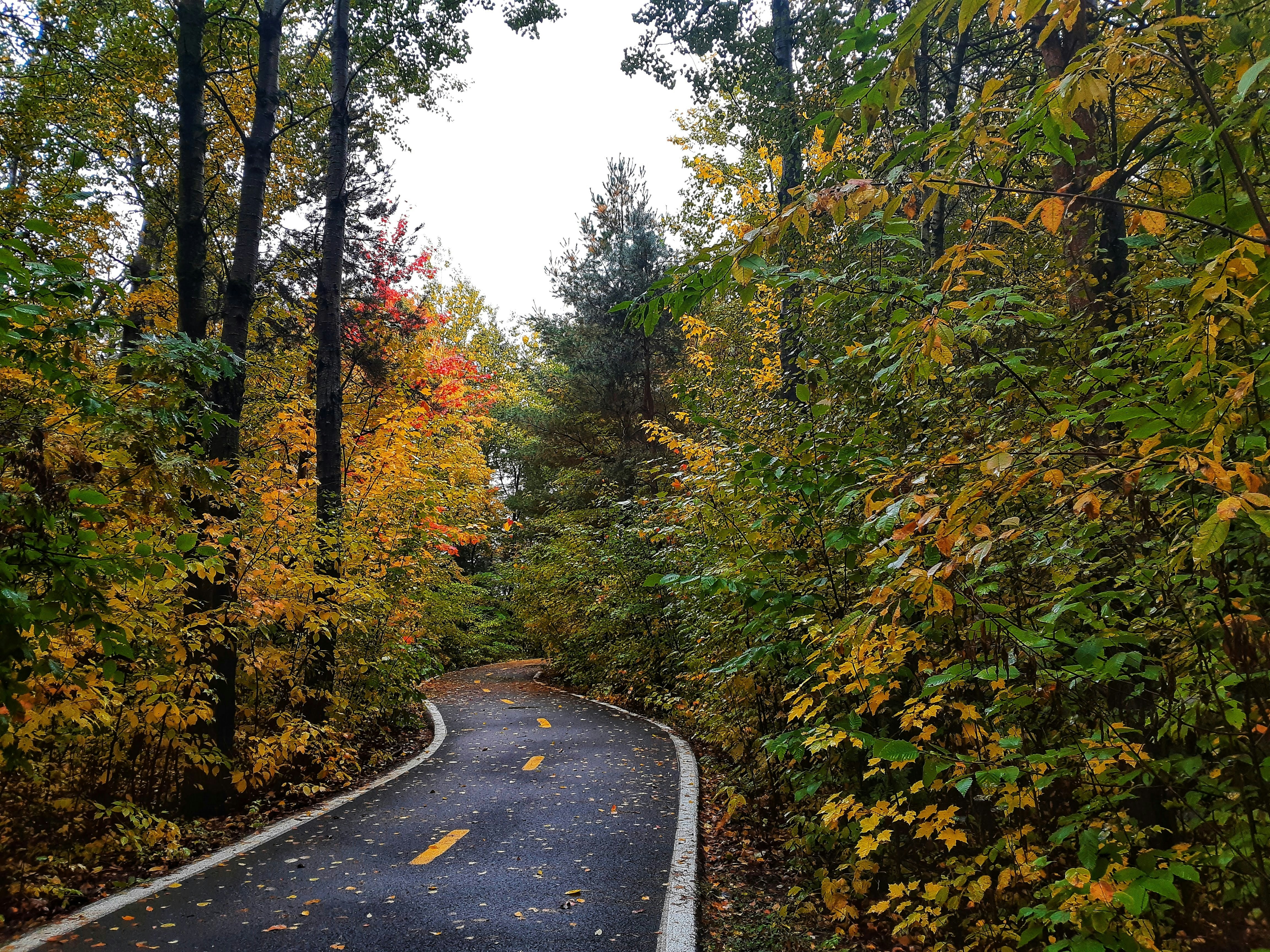 Photo by alexgrenier