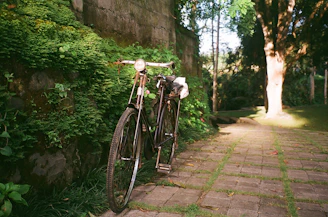 A vintage bicycle leaning against a sunlit stone wall near the Adriatic shore, surrounded by wild greenery.
