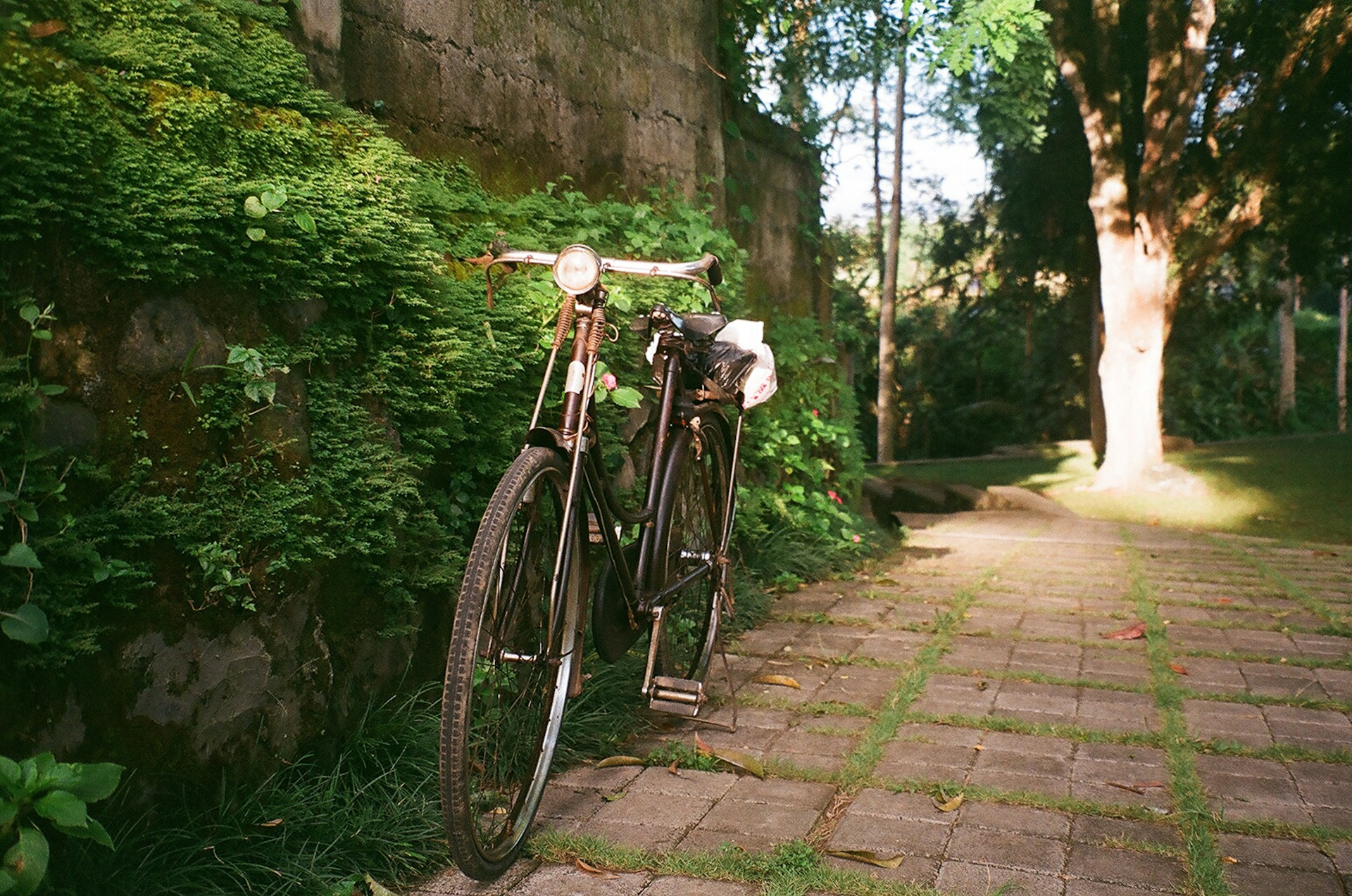 A rugged gravel bike leaning against a mossy stone wall on a misty Barcelona trail, captured in muted tones with a grainy texture.