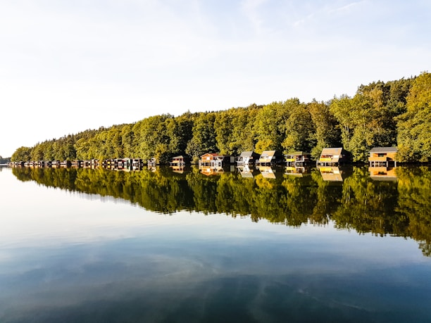 A serene lakefront cabin exterior surrounded by tall trees and calm water under a clear sky.