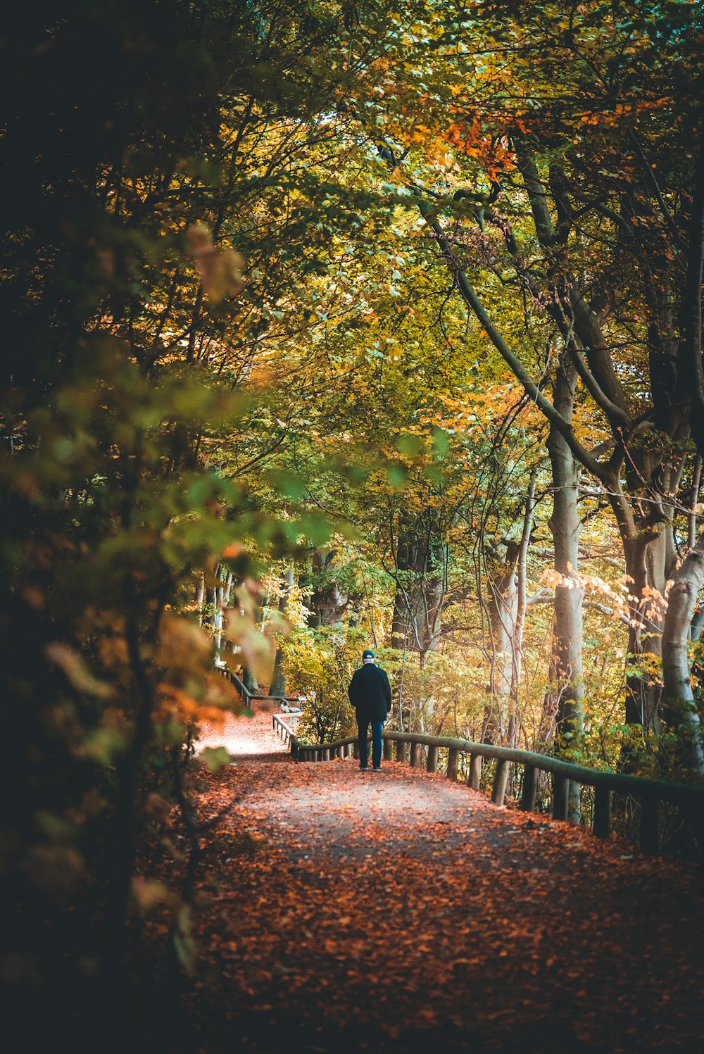 man standing beside tree